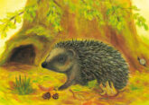 stinner-igel-20544