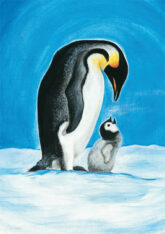 stinner-pinguine-20551