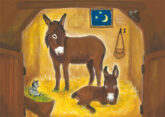 stinner-esel-im-stall-20552
