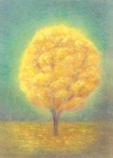 elsaesser-herbstbaum-20640