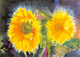 thomas-sonnenblumen-20666