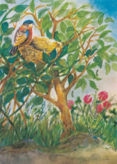 schneider-vogel-am-nest-20678