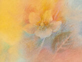 thomas-christrose-20748
