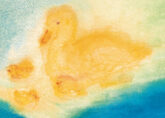 schmidt-ente-mit-jungen-20818