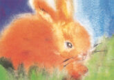 schmidt-hase-20820