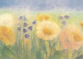 navizzardi-wiesenblumen-20834