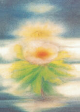 navizzardi-christrose-20835
