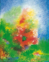 pintaske-sommerwiese-20868