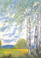 bach-fruehling-20927