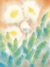 schmidt-blumen-20981