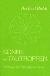 sonne-im-tautropfen
