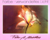 farbe-verwandeltes-licht