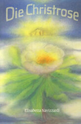 die-christrose