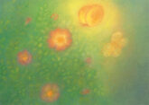 elsaesser-schmetterlinge-20724